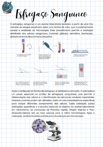 Esfregaço Sanguíneo