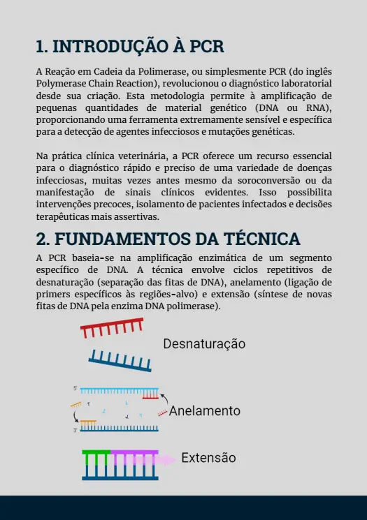 Fundamentos da PCR