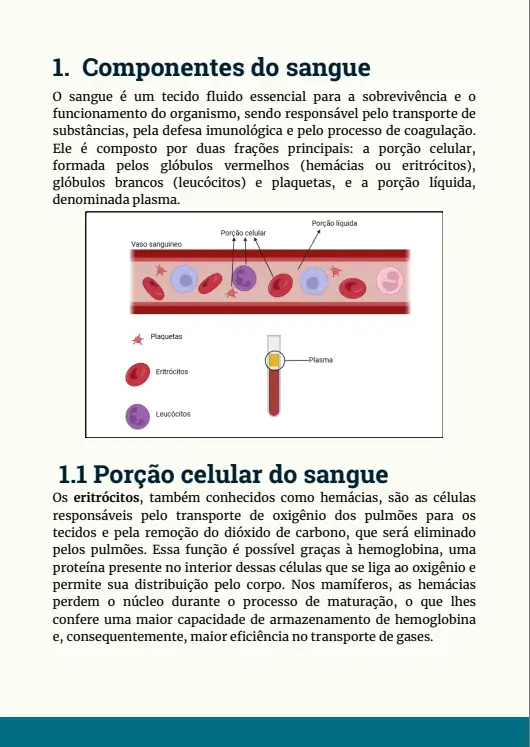 Componentes do sangue