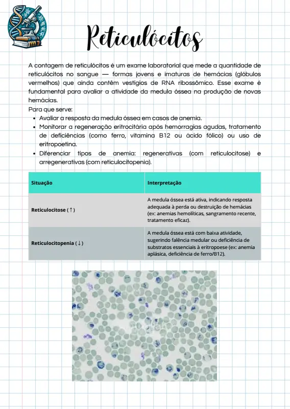 Morfologia e Desvio