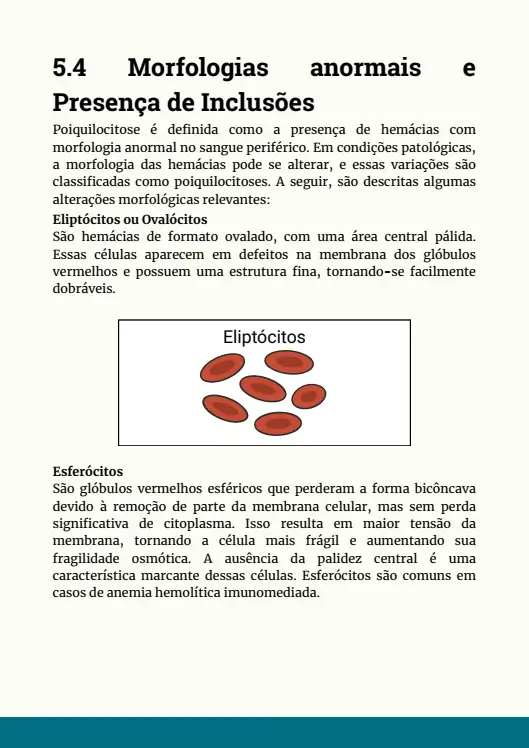 Leucócitos