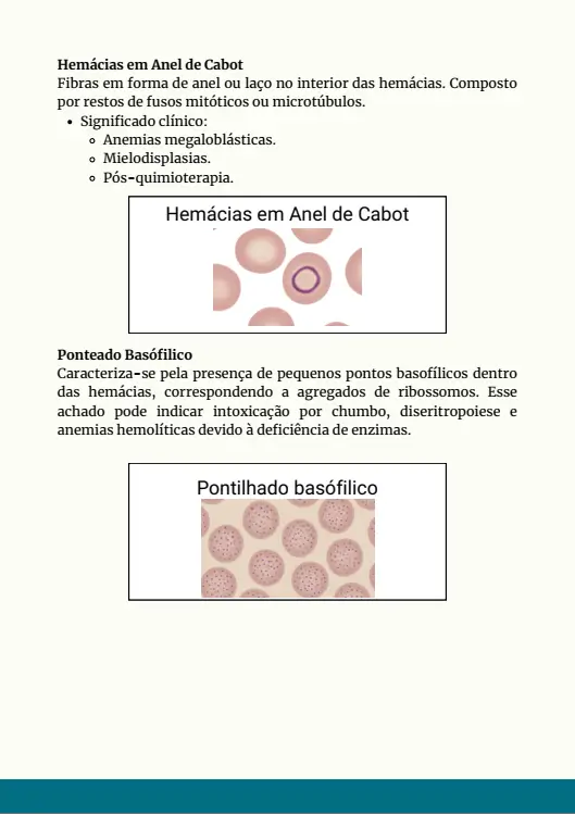 Morfologias anormais