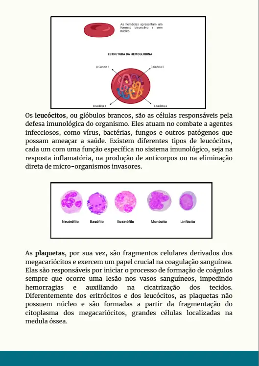 Morfologia Animal