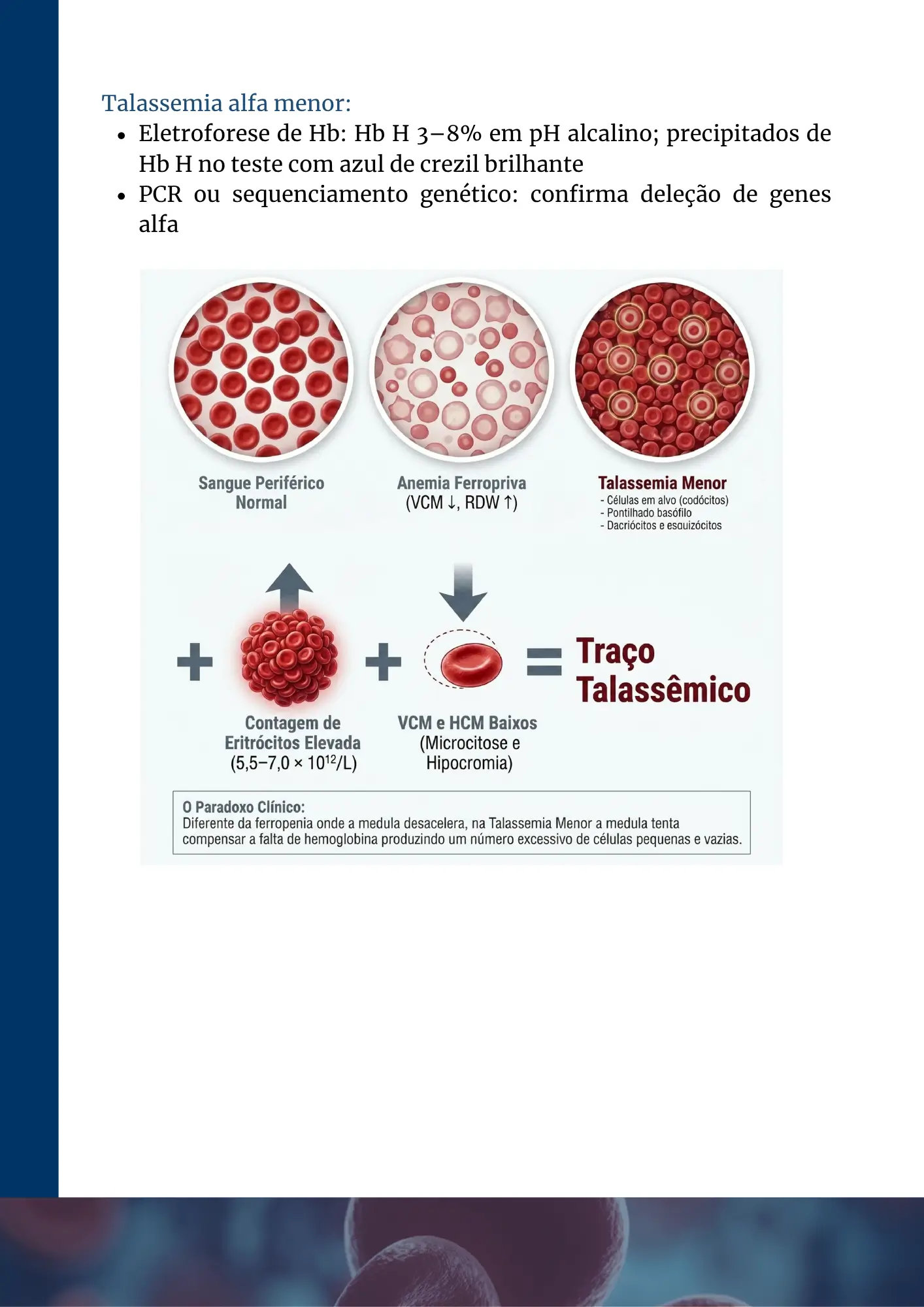 Página ebook anemias 2