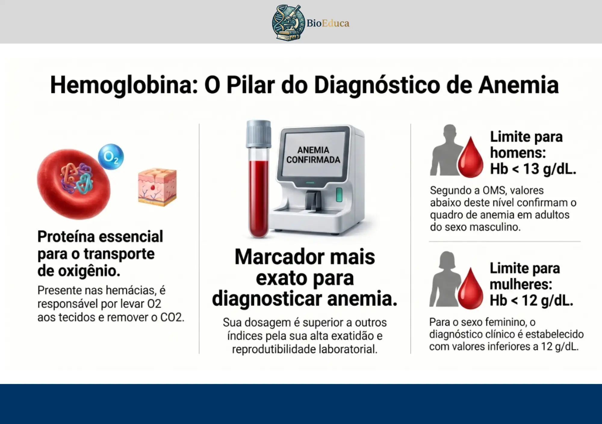 Hemograma ilustrado
