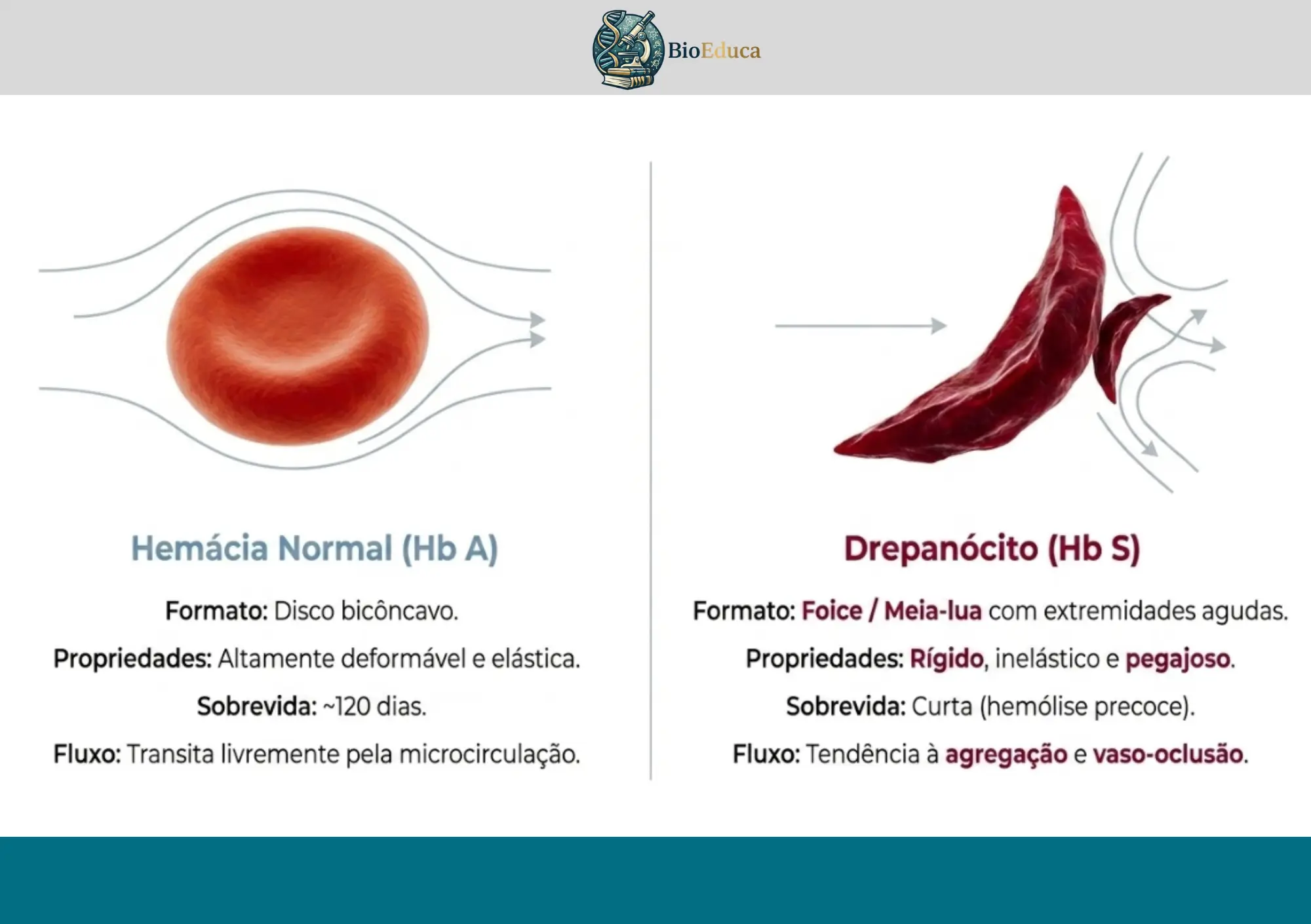 Resumos Anemias
